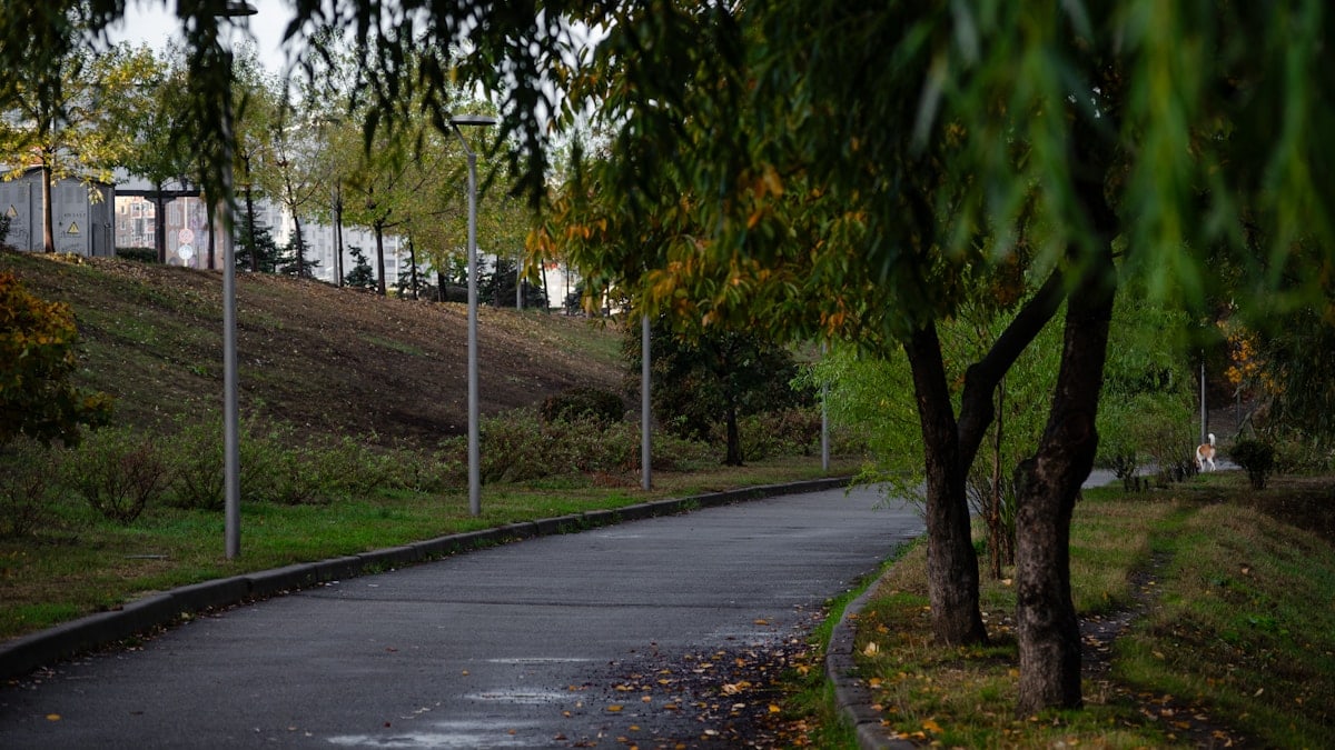 Kako ostati motiviran na poti do zdravja